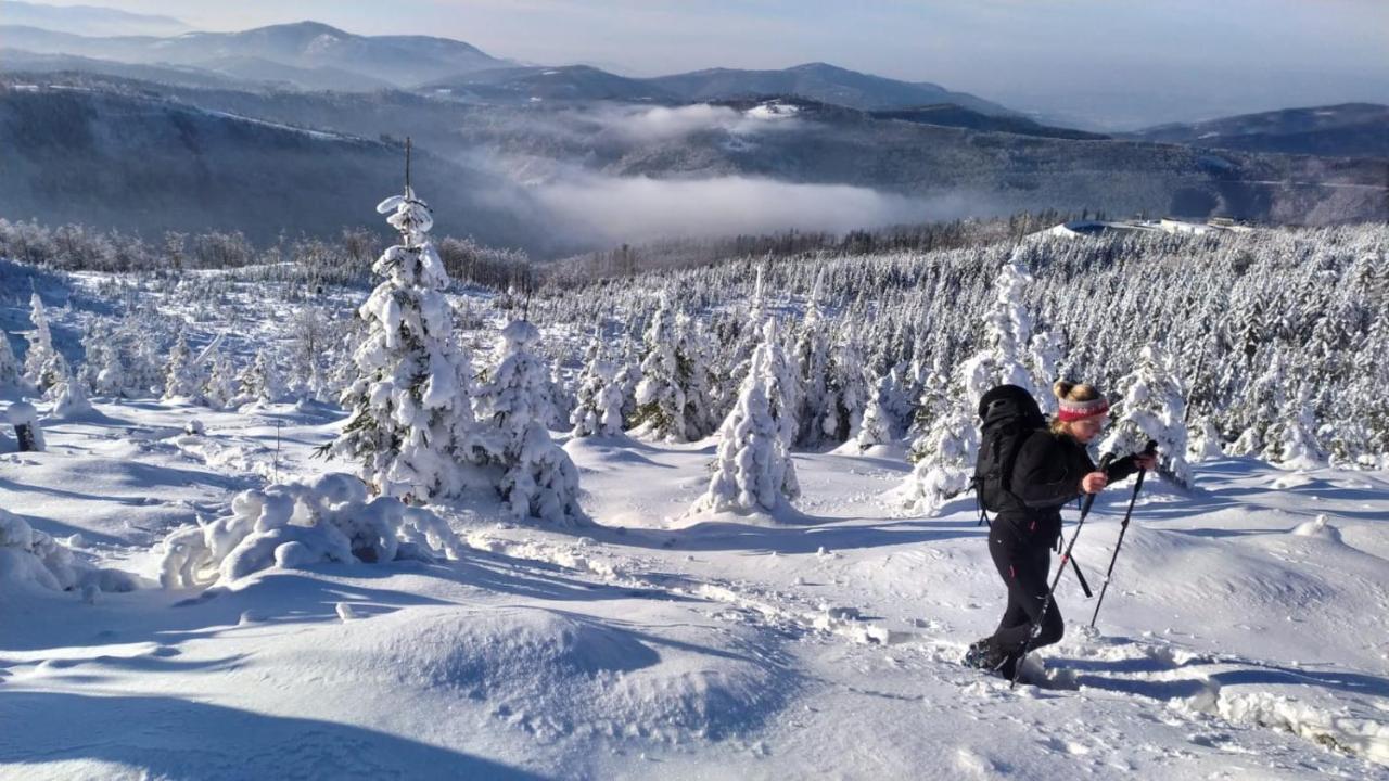 Romanka Zabnica Exteriör bild