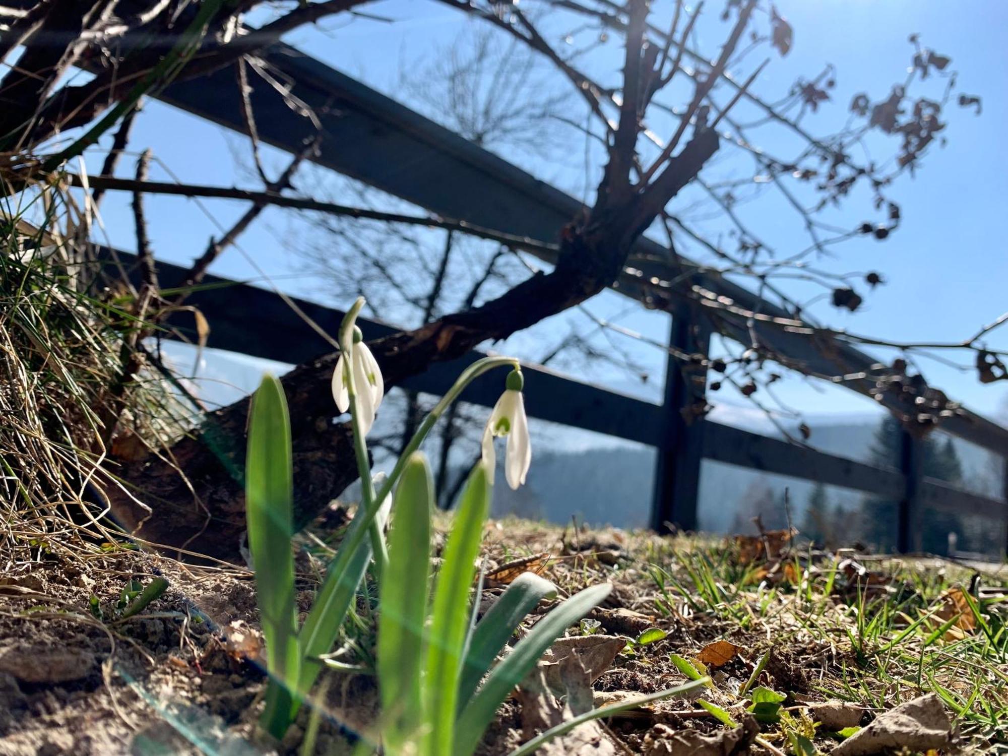 Romanka Zabnica Exteriör bild